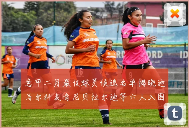 意甲二月最佳球员候选名单揭晓迪马尔科麦肯尼贝拉尔迪等六人入围